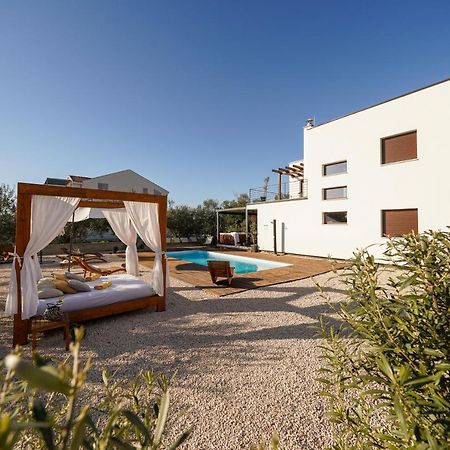 Villa Suncica With Heated Pool, Jacuzzi And Bikes Near Zadar Сукошан Экстерьер фото