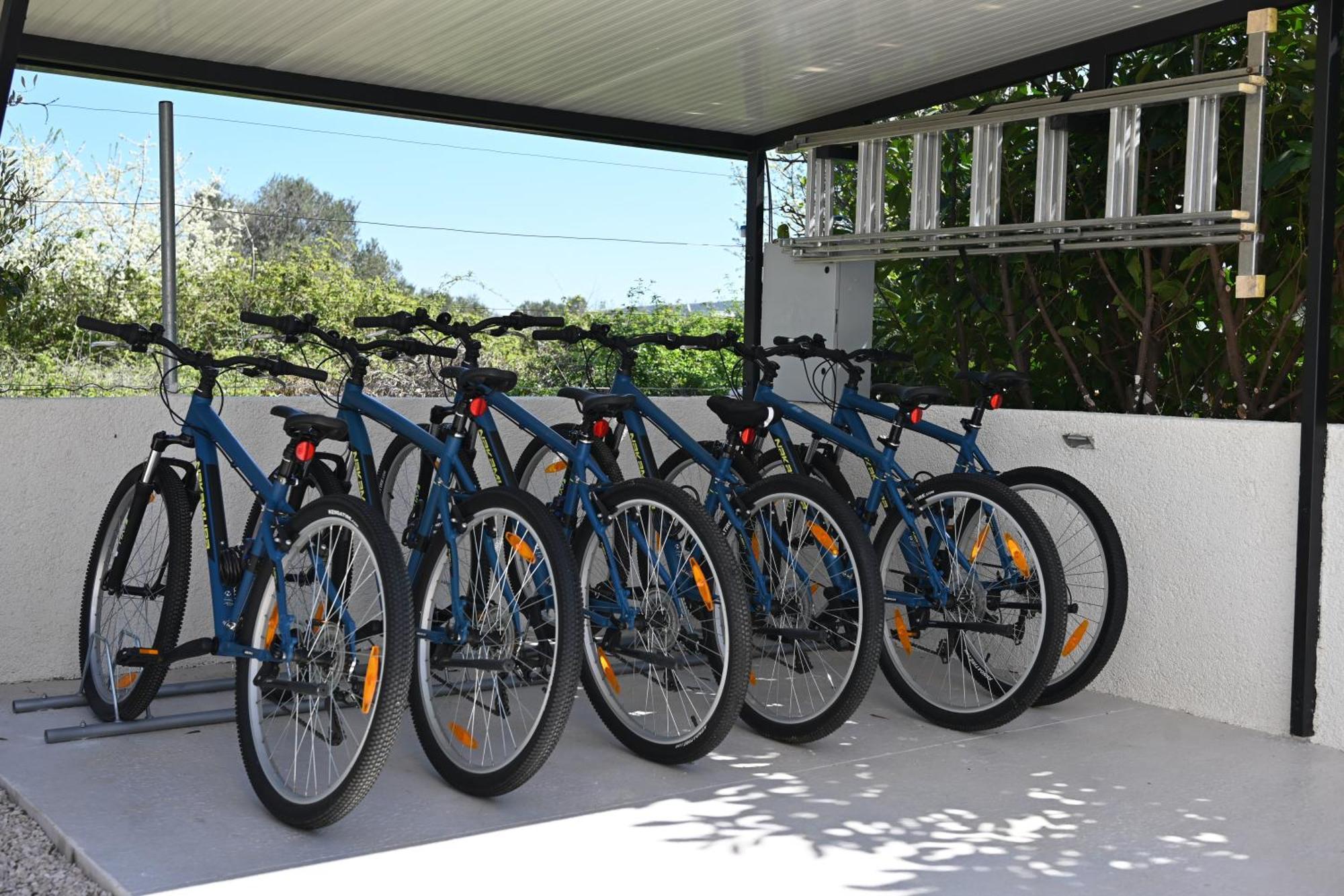 Villa Suncica With Heated Pool, Jacuzzi And Bikes Near Zadar Сукошан Экстерьер фото