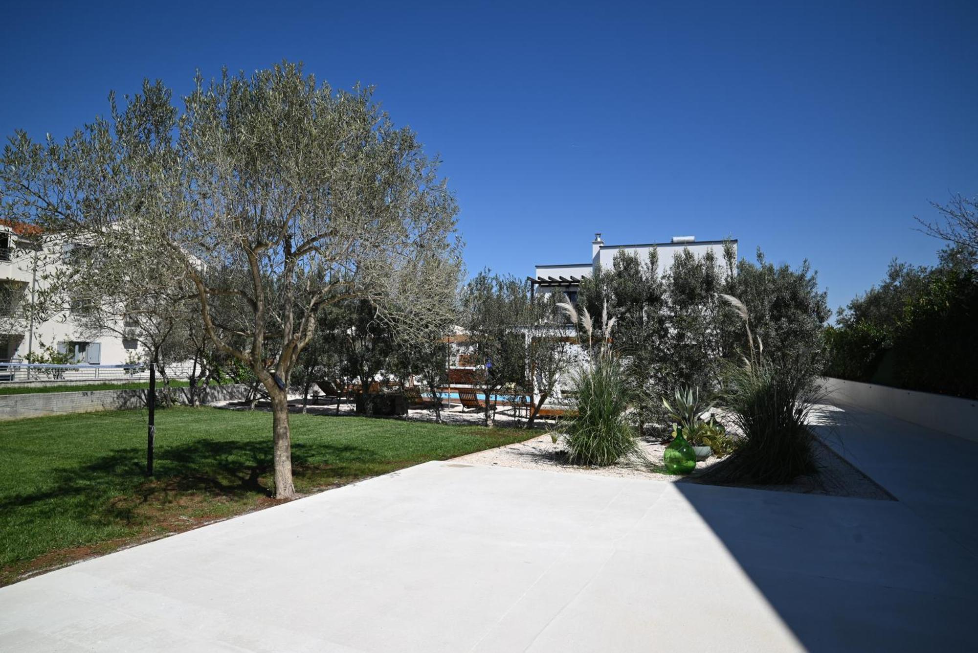 Villa Suncica With Heated Pool, Jacuzzi And Bikes Near Zadar Сукошан Экстерьер фото